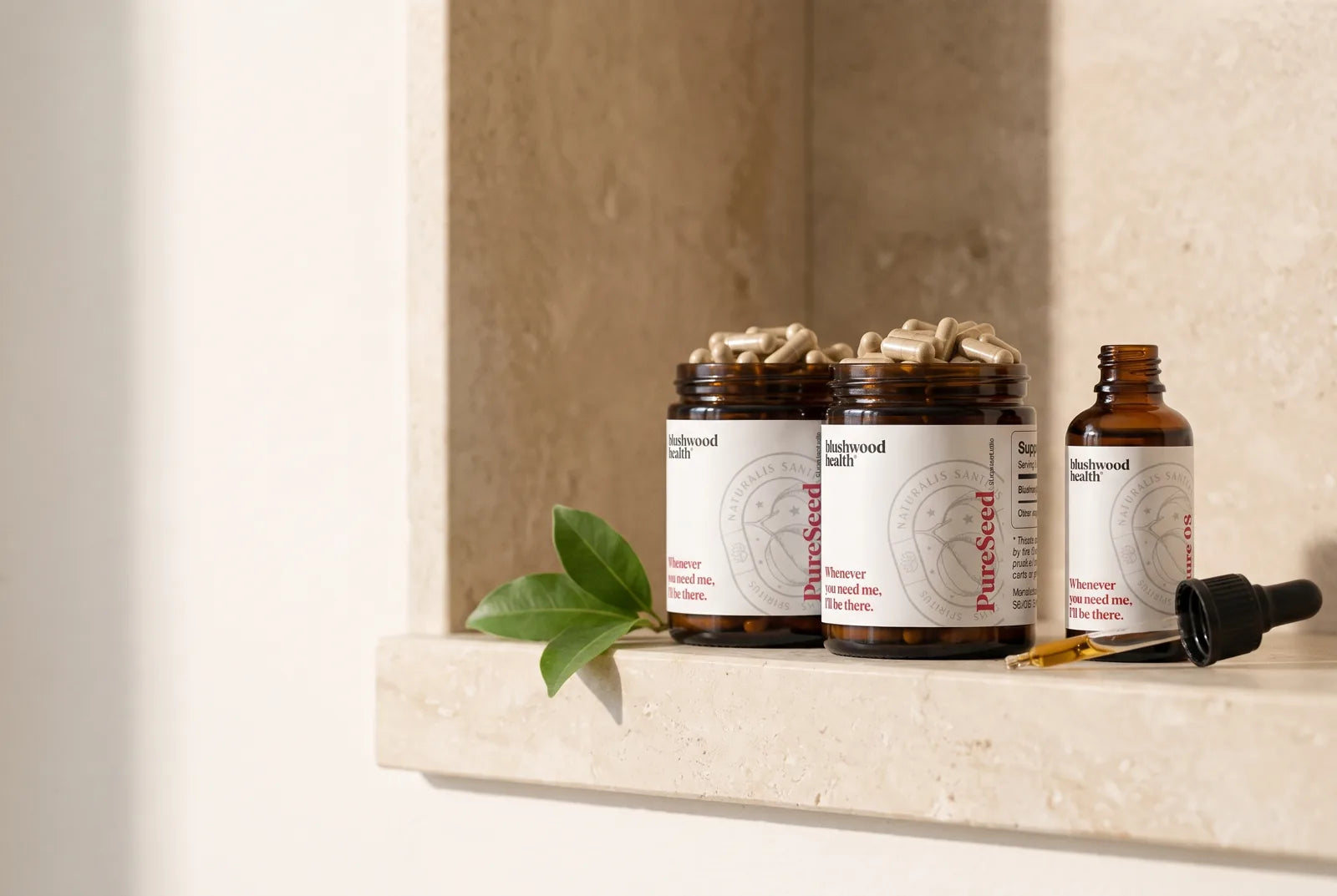 Blushwood Berry Extract ritual supply — tincture and capsule jars