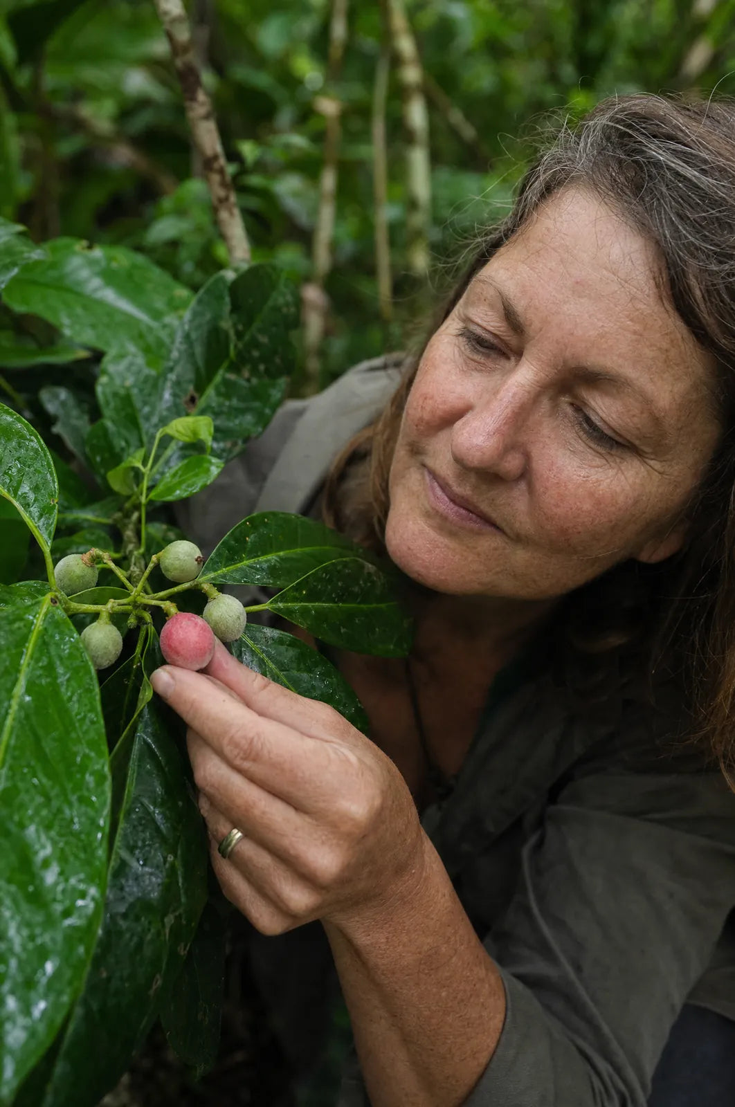 Meet the rare Australian berry the world is just discovering.