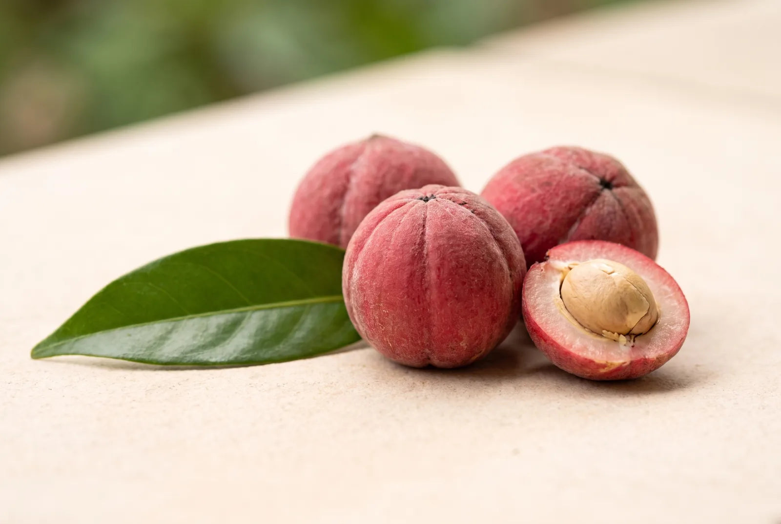 Blushwood berry whole-seed extract, close up