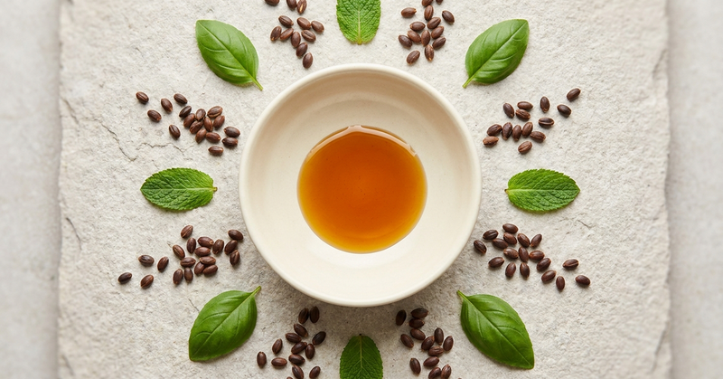 Blushwood Berry Extract and Oxidative Stress: How Blushwood Berry Supports Your Antioxidant Defences