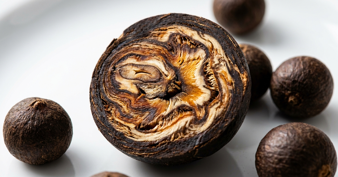 Macro cross-section of a dark botanical seed revealing internal structure on white porcelain with dramatic side light