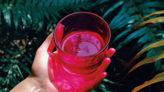 Blushwood Berry Extract enhancing skin health and healing benefits