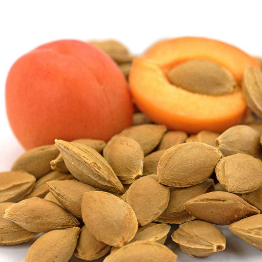 EBC-46 and apricot kernel synergy for cancer treatment and health improvement