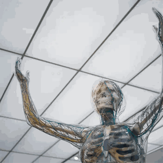 Image of a transparent human body showing the nervous system and other organs.