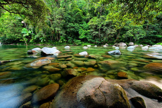 Bild eines Wasserbeckens im australischen Regenwald