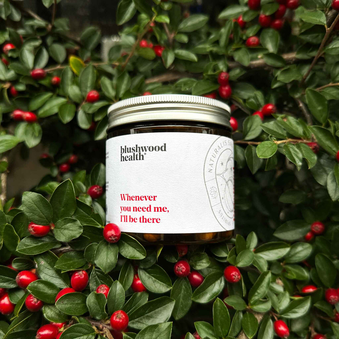 Jar of Blushwood berry capsules against lush background.