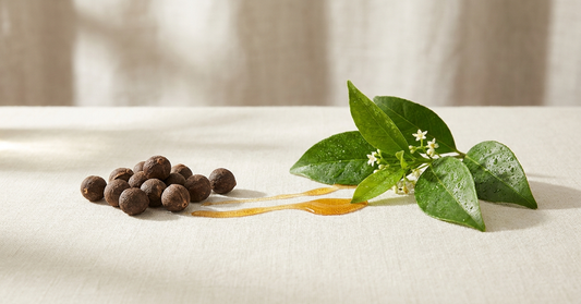Dark botanical seeds and fresh rainforest leaves with flowers connected by a drizzle of golden amber extract on linen