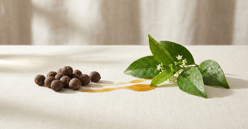 Blushwood Berry Flavonoids and Blushwood Berry Extract: How These Compounds Work Together in Your Body