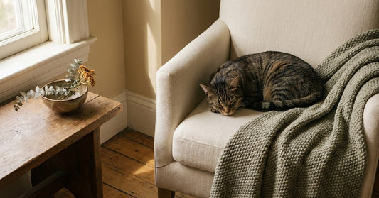 A serene domestic scene with a sleek tabby cat curled up on a woven blanket in soft morning light, evoking the gentle attentiveness of caring for a beloved feline companion.