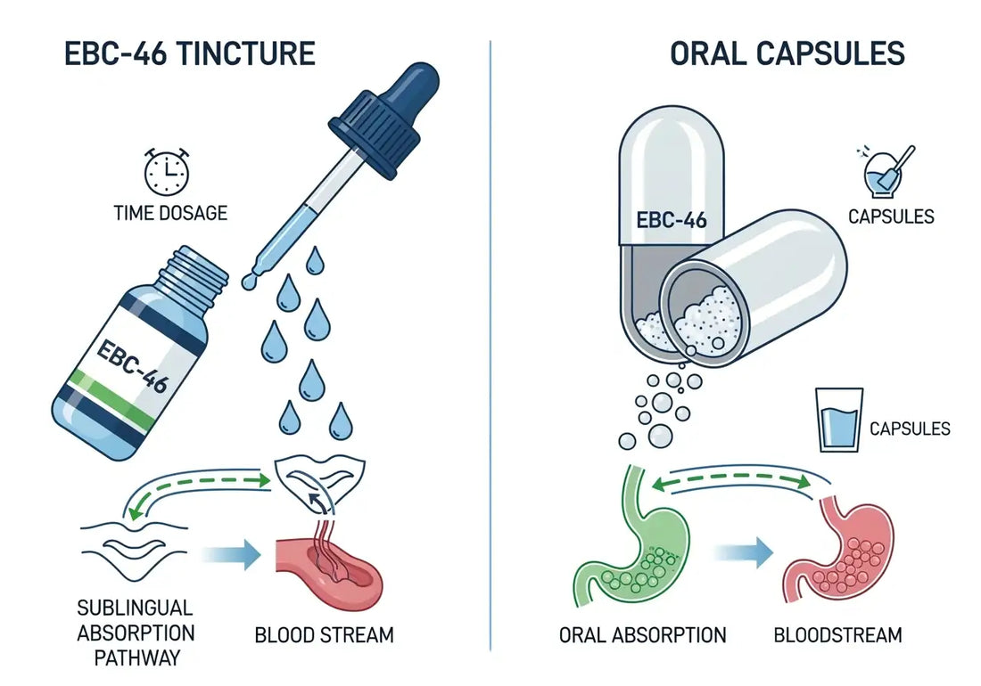 Tincture vs Capsules: Which EBC-46 Form is Right for You?