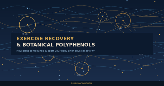 Scientific illustration showing muscle fibers, inflammatory markers like NF-kB and IL-6, and botanical polyphenol molecules with PKC signalling labels on a dark navy background