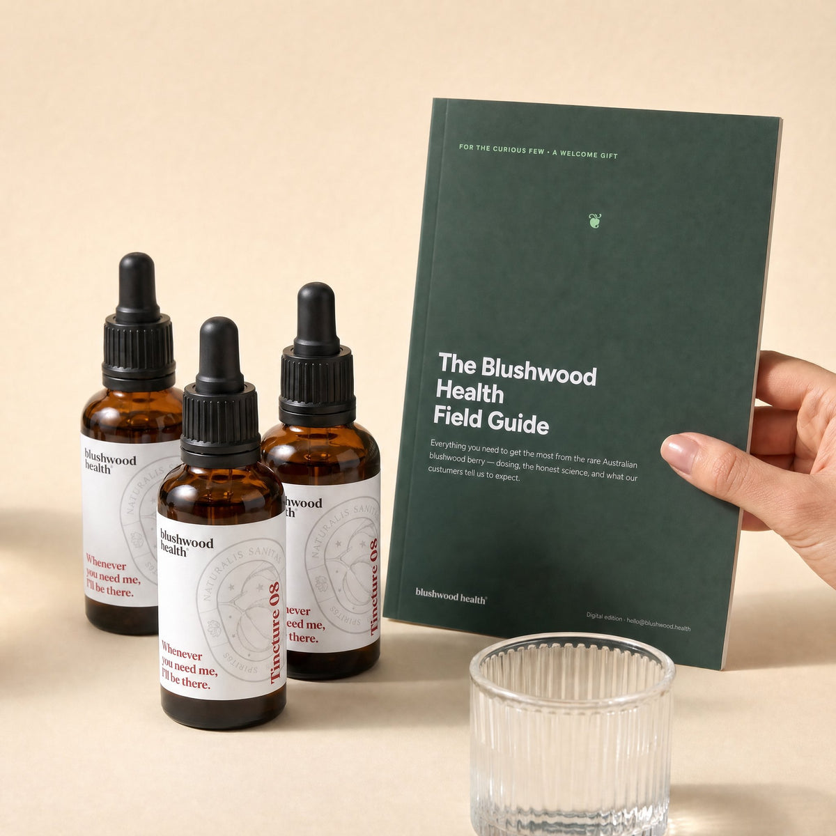Tincture 3-pack — three bottles (3-month supply) with the free Field Guide