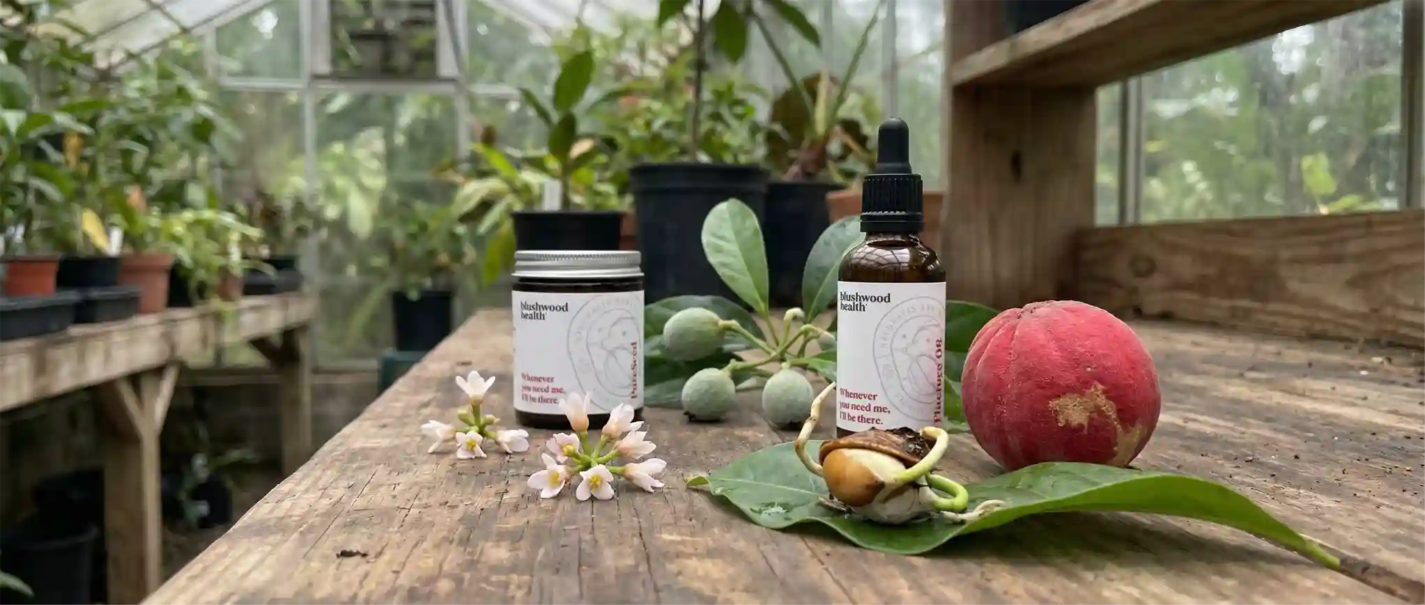Bottles and containers on a wooden table with plants in the background